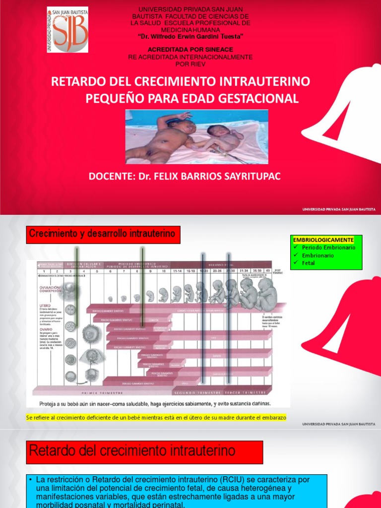 Retardo del Crecimiento Intrauterino: RCIU | PDF | El embarazo ...