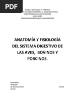 Anatomia Animal. Sistema Digestivo.