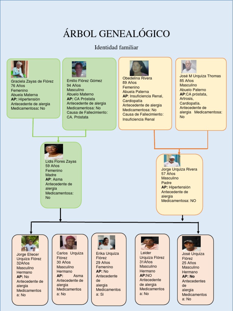 Arbol Genealogico | PDF
