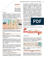 Sistema Cardiovascular