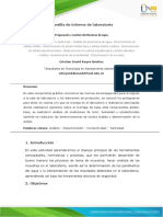 Plantilla de Informe de Laboratorio