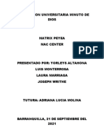 Análisis de las 5 fuerzas de Porter de MAC CENTER con la matriz PEYEA