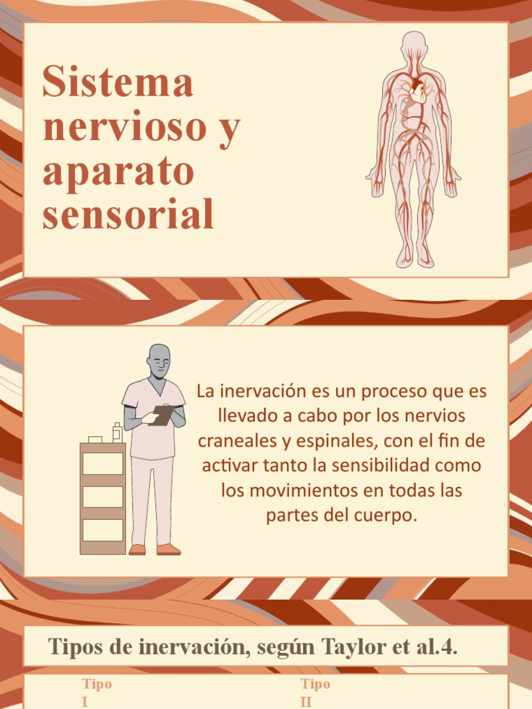 Sistema Nervioso y Aparato Sensorial | PDF