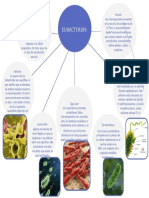 Eubacterias 2