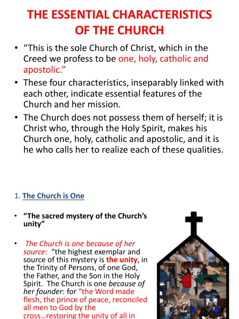 Church | PDF | Catholic Church | Pope