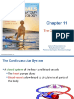 Cu 10 Cardiovascular System