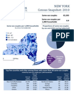 Census Snapshot NewYork