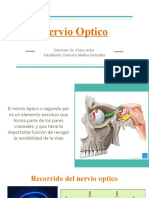 ANALISIS DEL NERVIO OPTICO