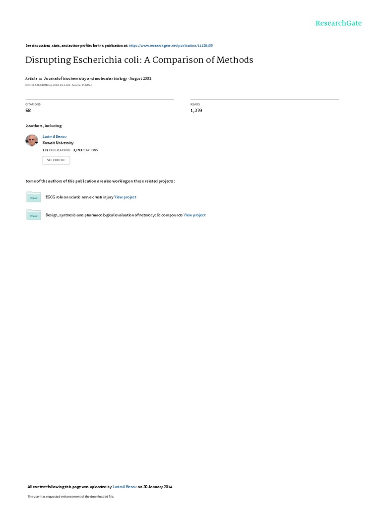 Glass Bead and Vortex PDF Proteins Enzyme