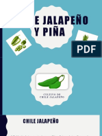 Chile Jalapeño y Piña