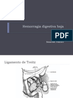 Hemorragia Digestiva Baja