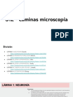 S12 - Láminas Microscopía