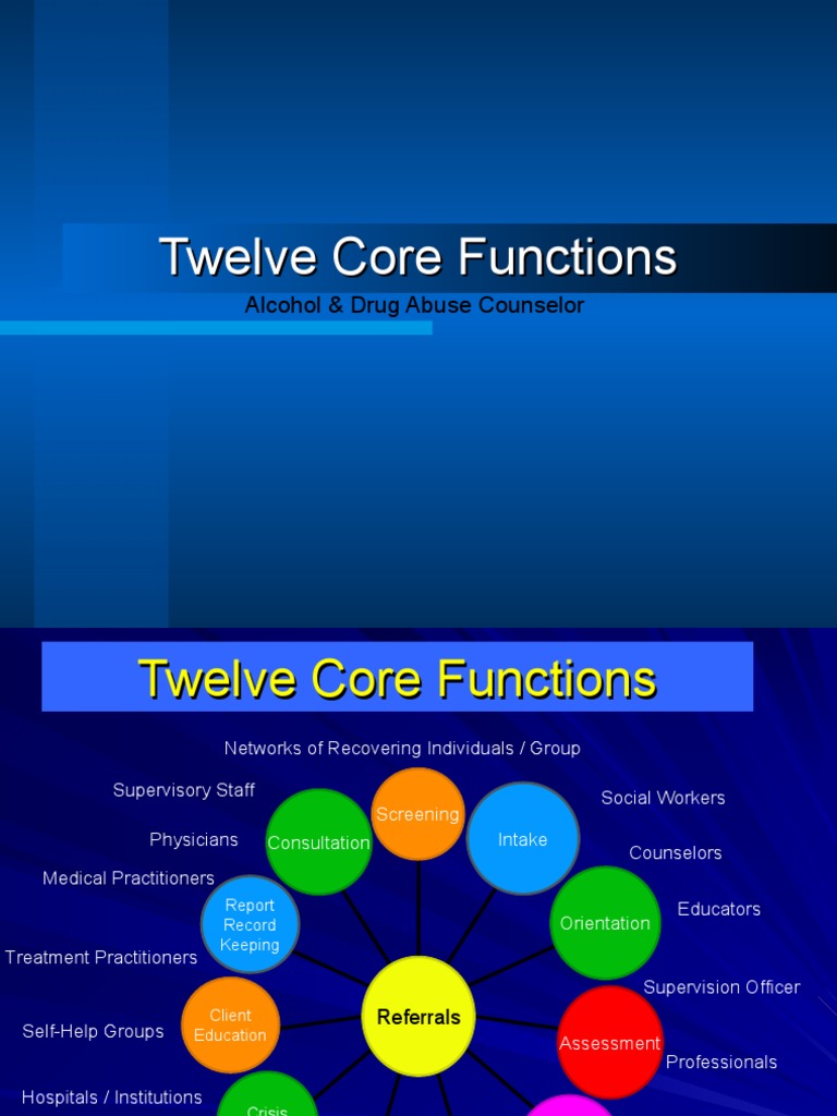 Assessment12 Core Function | PDF | Substance Abuse | School Counselor