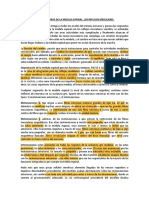 De La Médula, y Otra Rama Transmite Sus Impulsos Hacia Niveles Más Altos Del Sistema Nervioso, Es