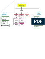 Mapa Conceptual Membrana Celular