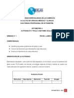 Actividad Nº1 - Optometría Ii