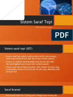 Sistem Saraf Tepi