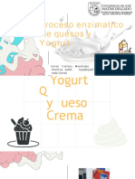 proceso enzimatico de yogurt y queso QUA II (1)