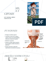 Escoliosis, lordosis y cifosis