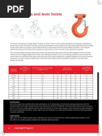 Chain Block Specifications Overview | PDF | Metre | Ton