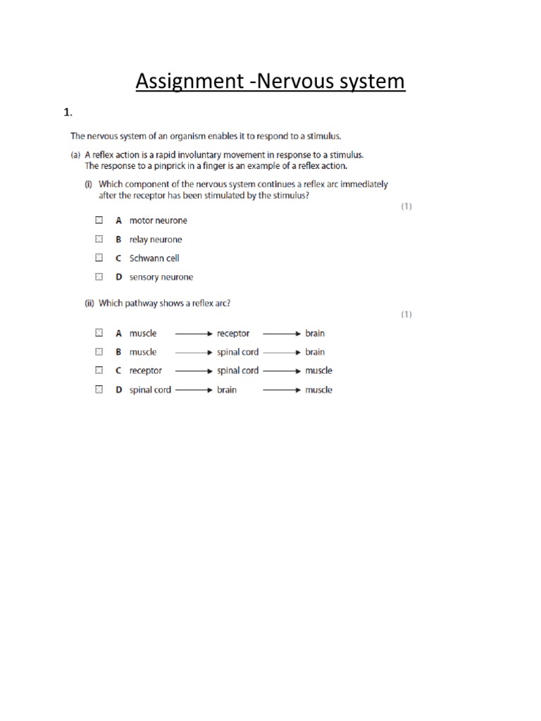 assignment for nervous system