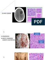 CNS Projection Exam KEY