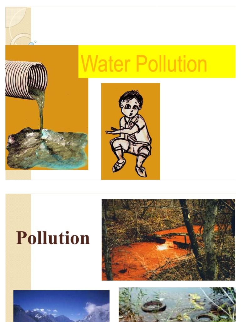 water pollution assignment introduction
