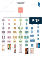 Enf. Sistema Endocrino