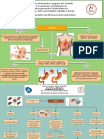 Enf. Sistema Gastrointestinal