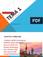 Tema 1