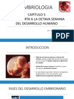 Capítulo 5 - de La Cuarta A La Octava Semana Del Desarrollo Humano