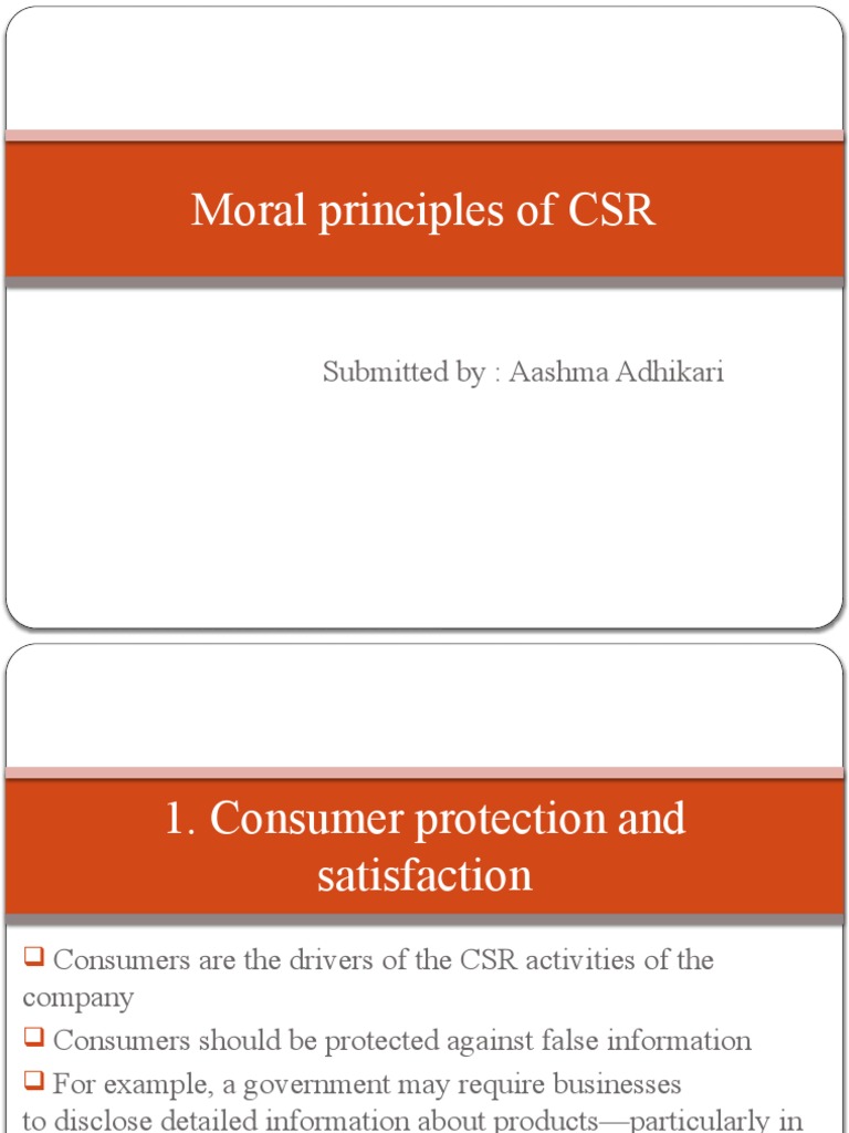 Moral Principles of CSR | PDF