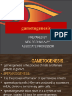 Gametogeneis