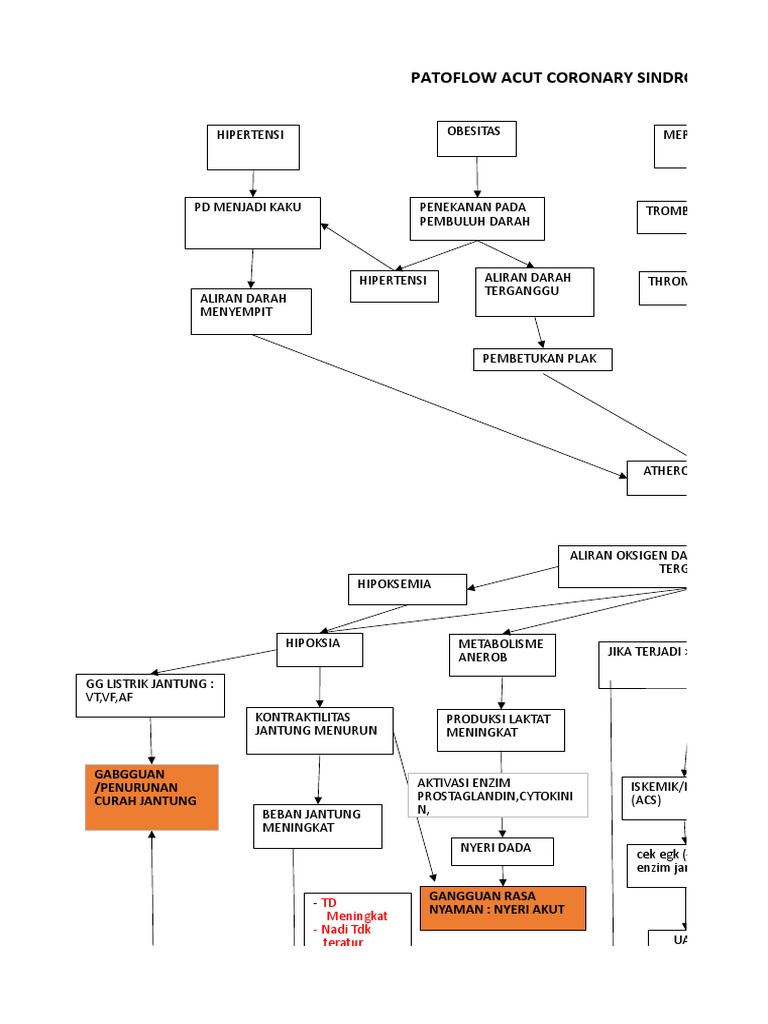 Patoflow Acs Dan CHF | PDF
