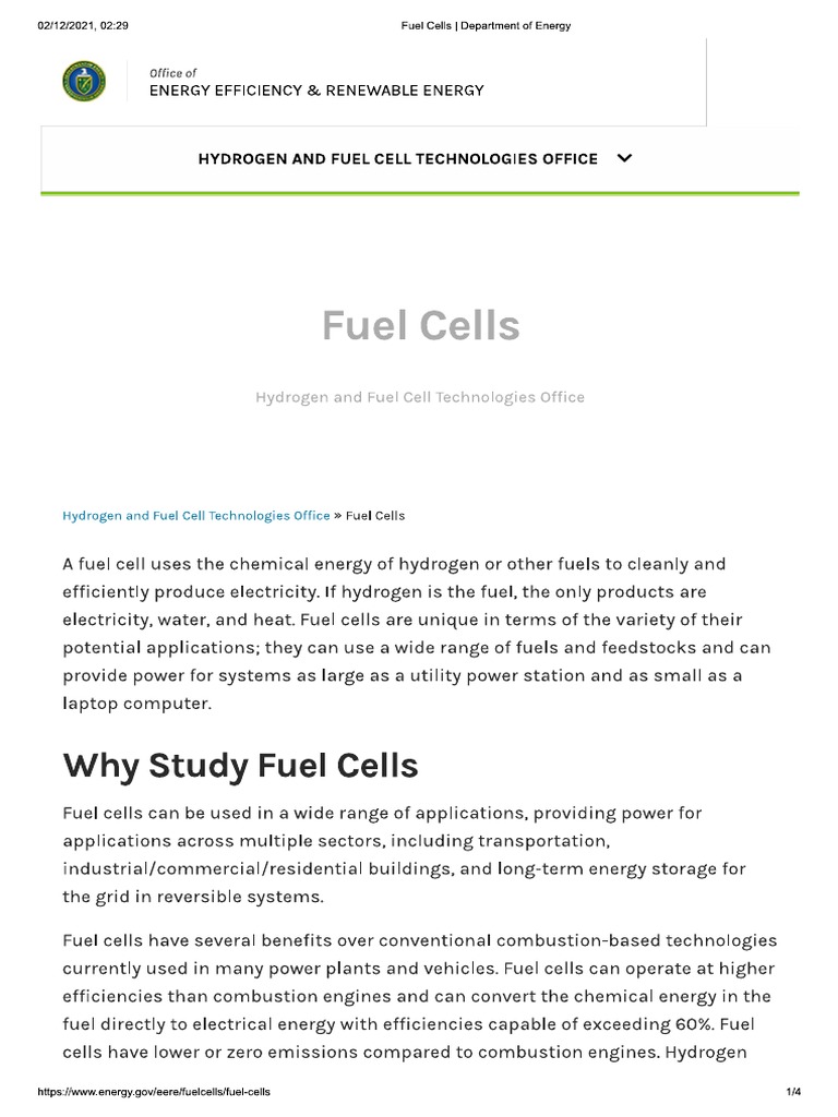Fuel Cells PDF