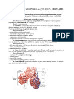 Nevoia de A Respira Si de A Avea o Buna Circulatie
