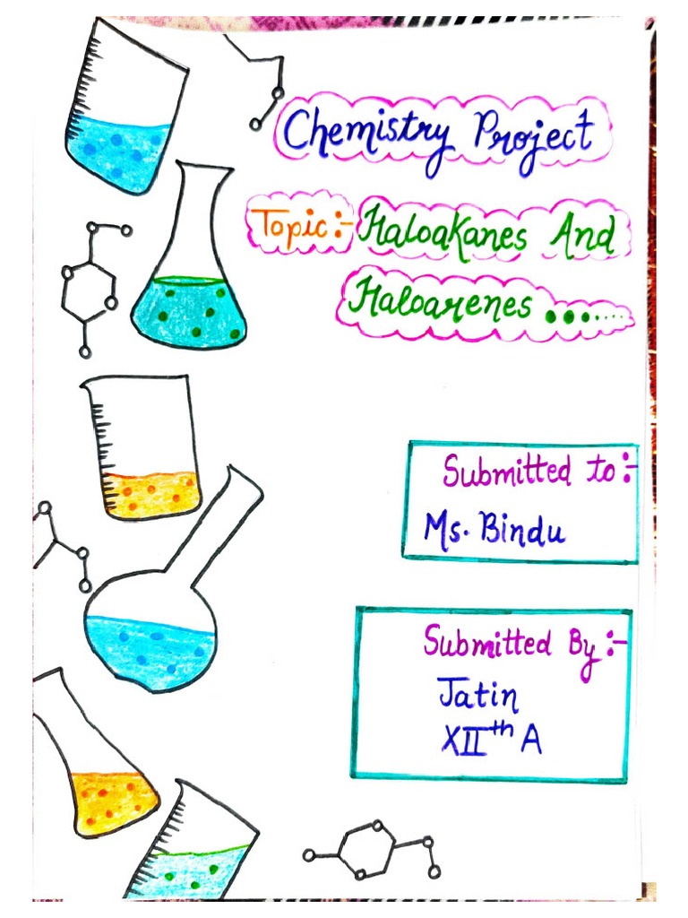 Project File On Haloalkane and Haloarenes1024 - 1 | PDF