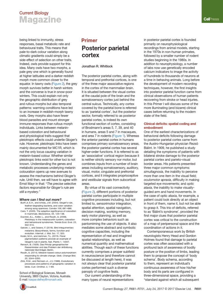 1 s2.0 S096098221730708X Main | PDF | Parietal Lobe | Cerebral Cortex