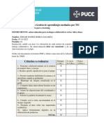 Autoevaluación Del Trabajo Colaborativo + Ejercicio Vivencial EDGAR BORJA