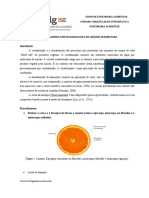 Casca de Laranja Cristalizada e Desidratada