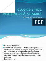 Glucide, Lipide, Proteine, Apă