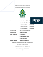 Laporan Praktikum Ekologi 3 Interspesifik Dan Intraspesifik