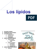 Conceptos básicos sobre lípidos: clasificación, ácidos grasos y funciones