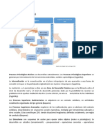 Examen Citas Final Destacado Psicología Educacional