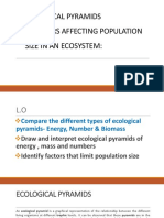 Ecological Pyramids & Factors Limiting Population Size