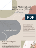Expanding Maternal and Neonatal Survival (EMAS)