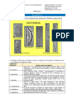 Taller N0. 5 Perifiton