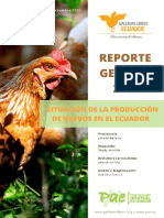 Informe PAE Gallinas Libres INTERACTIVO