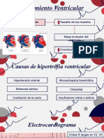 Crecimiento Ventricular