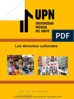 S11 - Derechos Culturales